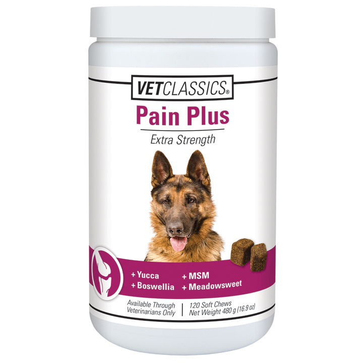 Pain Plus Canine Soft Chews