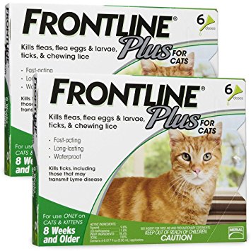 Frontline Plus for Cats