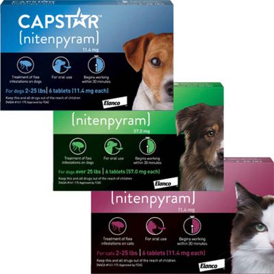 Capstar Tablets Greek Associates Veterinary Hospital